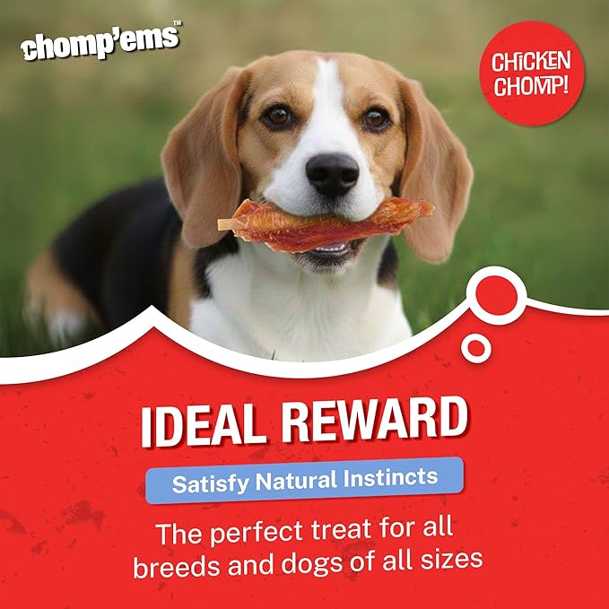 Chomp'ems Chicken Skewers, 8 oz - All Natural Rawhide Wrapped with Premium Chicken Breast - Healthy, Protein Rich Treats for Dogs - Dog Chews