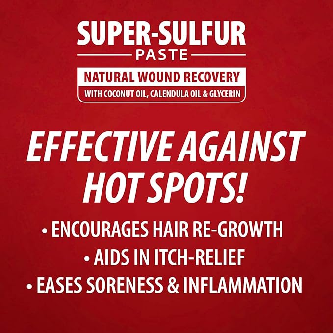 Jeffers Super Sulfur Natural Healing Paste for Dogs, Cats & Horses 8 oz – Wound Care, Skin & Coat Support for Animals, Soothes Itching & Inflammation, Dry Rough Flaky Skin, Hot Spots, Paw, Hoof Care