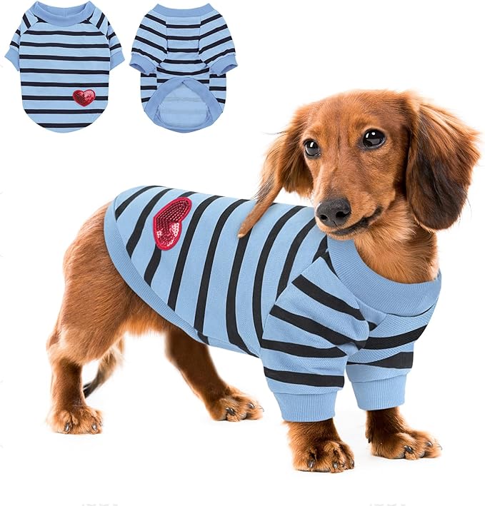 Queenmore Medium Dog Shirt,Soft Breathable Dog Shirt for Dogs Cats Boy Girl,Pet Clothes for All Season,Breathable Lightweight Pet Tshirt for Frenchie, Dachshund, Yorkie