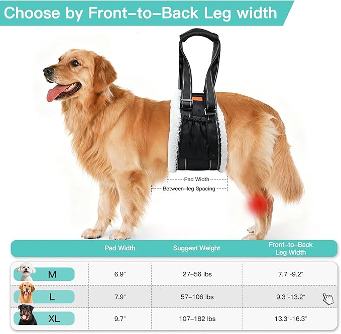 LumoLeaf Dog Lift Harness Sling for Back Legs, Adjustable Rear Leg Support & Mobility Aid, Hip Support for Senior/Disabled Dogs, Soft Fleece Lining, Padded Handles, for CCL/ACL Surgery (Black, Medium)