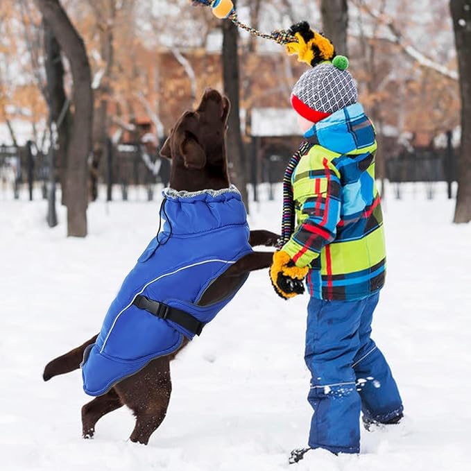 DENTRUN Winter Warm Dog Coat Reflective Jacket with Turtleneck for Cold Weather, Adjustable Buckle Windproof Water Repellent, Thick Snowsuit Fleece Vest for Small, Medium, Large Dogs, Blue, S
