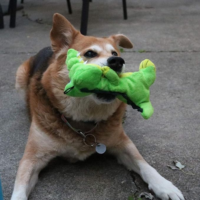SmartPetLove Snuggle Puppy Tender-Tuffs Easy Grab - Plush Dog Toys - Standing Stuffed Green Crocodile with Tough Puncture Resistant Squeaker