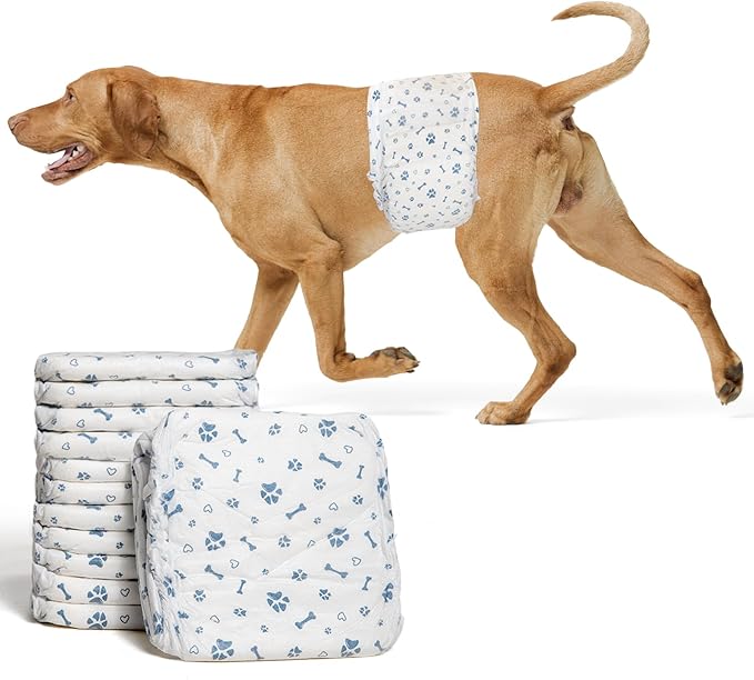 Dog Diapers Male Wraps, Disposable Male Dog Diaper, Super Absorbent Doggie Diapers for Boy Dogs with Incontinence Marking or Excitable Urination(M, 50)