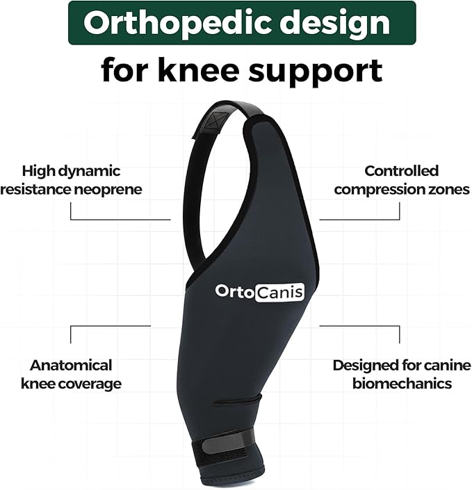 Ortocanis Dog Knee Brace for Hind Leg Support – Flexible Neoprene Knee Brace for Dogs with Joint Instability, Torn ACL, Limping or Osteoarthritis – Comfortable Support for Recovery (XS, Left Leg)