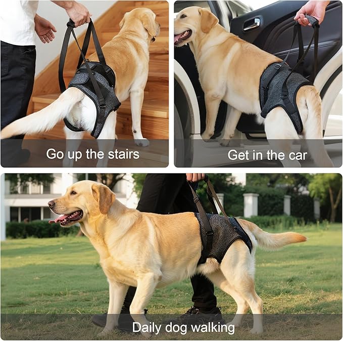 Dog Sling for Large Dogs Hind Leg Support, Adjustable Soft Padded Harness for Weak, Injured, or Disabled Back Legs, Helps Support Senior, Arthritic, and Mobility-Impaired Dogs (Medium)