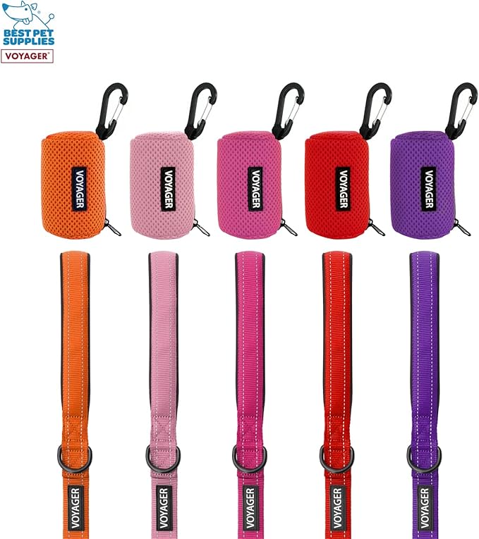 Best Pet Supplies 2-Pack Dog Poop Bag Holder Leash Attachment, Color, Reusable Mesh Dispenser Pouch for Travel, Walking, Park, and Outdoor Use, Soft and Durable with Clip-On - Mesh Turquoise