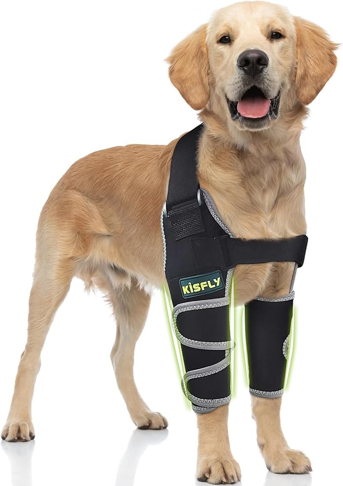Dog Elbow Brace Protector Pads, Provides Elbow & Shoulder Support, Helps with Dysplasia, Osteoarthritis & Calluses, Reflective Design for Safety, Both Legs, Size L