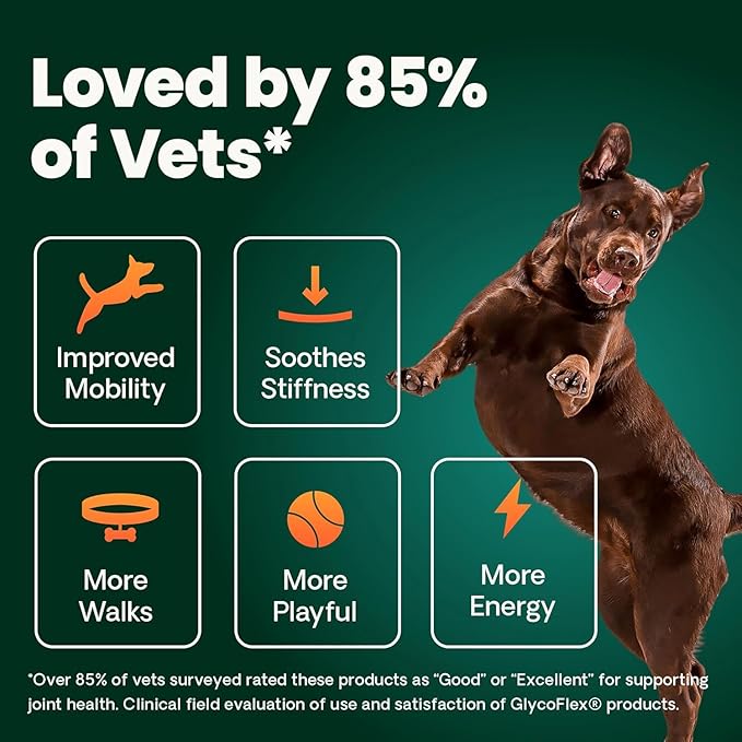 VetriScience Ultimate Strength Hip & Joint Supplement for Dogs, GlycoFlex Plus – MSM, Chondroitin & Green-Lipped Mussel Chews for Mobility, Flexibility, Comfort & Support, Bacon Flavor, 60 Cnt