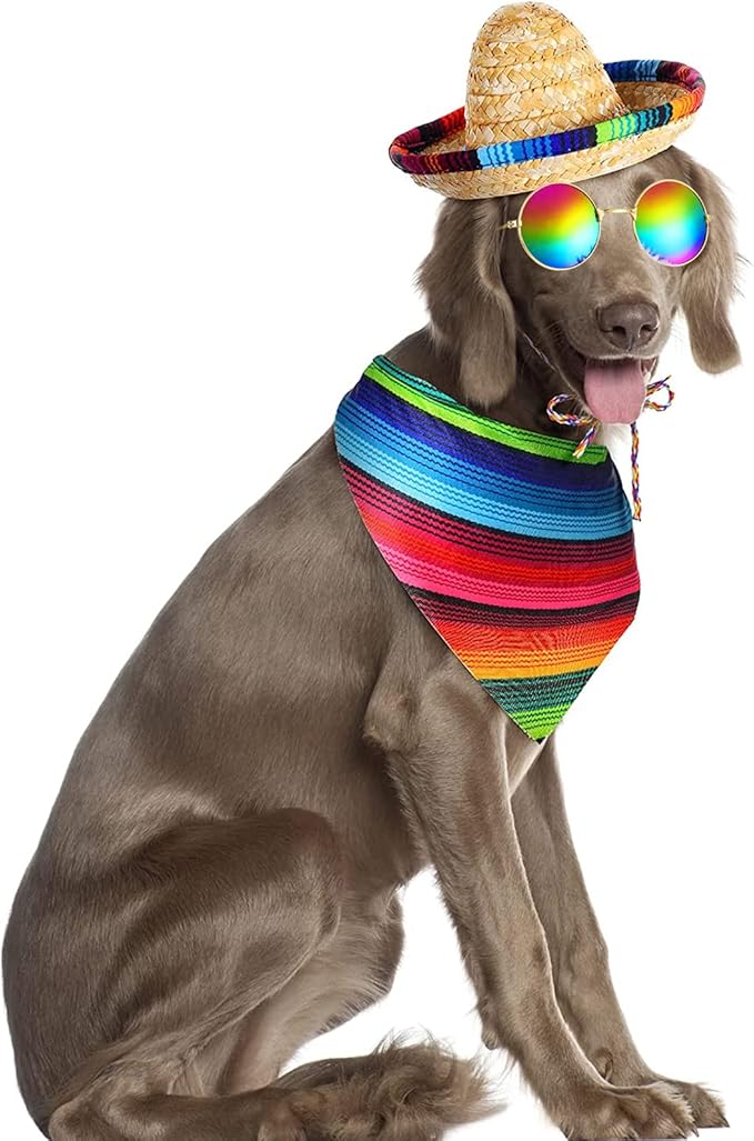 Ramede 3 Pcs Sombrero Hat Pet Mexican Serape Poncho Halloween Costume Include Cinco De Mayo Mexican Dog Bandana Fiesta Triangle Bib Round Sunglasses for Dog Birthday Gift Party Decor Small Puppy