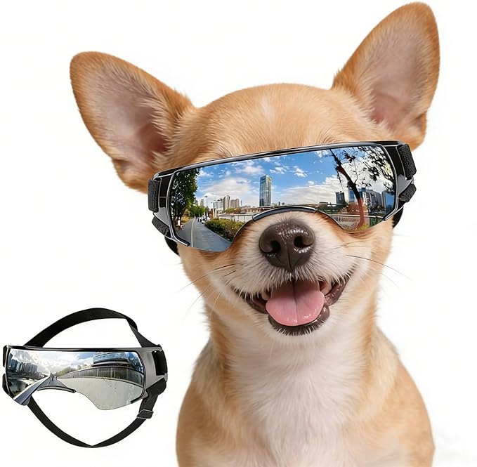 NAMSAN Dog Goggles Small Breeds, UV Protection Dog Glasses for Small Dogs, Puppy Sunglases Windproof Dustproof Driving Eye Protection, Adjustable, Cute Silver