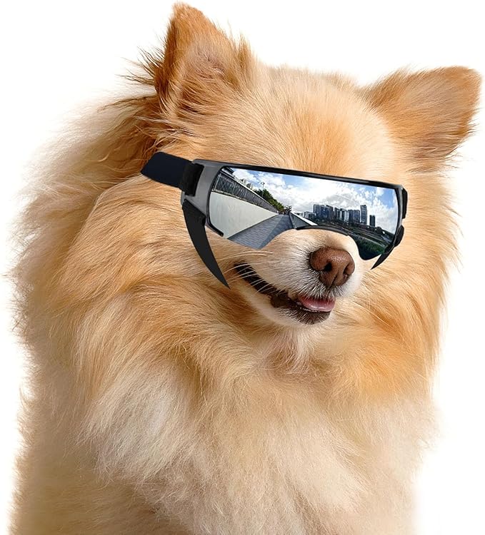 ENJOYING Dog Sunglasses Small Breed, Anti-UV Puppy Goggles for Small Dogs, Windproof Outdoor Dog Eye Protection for Driving Biking, Adjustable Head Straps, Cute Silver