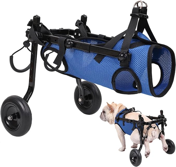 Adjustable Small Dog Wheelchair - Mobility Aid for Disabled Pets,Small Dog Wheelchair for Back Legs， Leg Brace & Hip Support - 8-20 lbs (Extra Small)