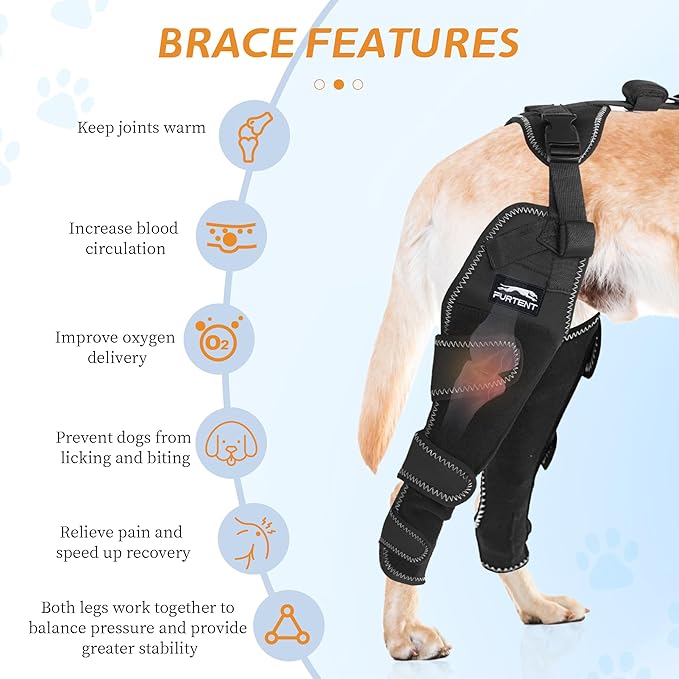 Dog ACL Brace Hind Leg - Provides Joint Protection and Warmth, Upgraded Adjustable Leg and Hip, Dogs Rear Leg Wrap Harness Set for Leg Wound Care and Lick Prevention, XXL