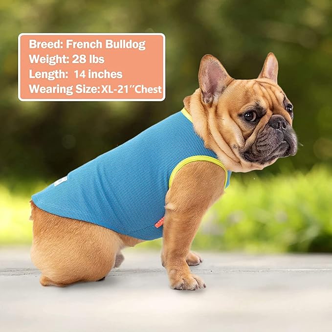 KYEESE 2Pack Dog Cooling Shirt, Breathable Dog Shirt for Small Dogs, Sun Protection Dogs Cooling Vest Tank Top, Lightweight Soft Sleeveless Summer Pet Clothes, Boat+Ice Cream, M