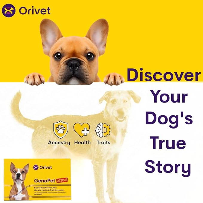 ORIVET Dog DNA Test Kit – Comprehensive Dog DNA Test Kit for 365+ Breed Identification & 265 Health Markers | At Home Dog DNA Kit with Canine Genetic Testing & Life Plan Genopet Rescue