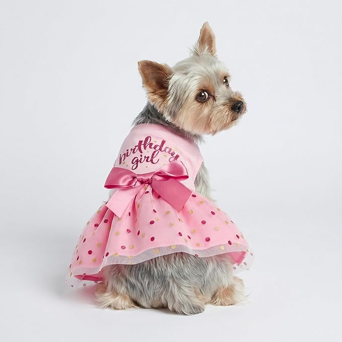 Fitwarm Birthday Girl Dog Tulle Dress, Dog Clothes for Small Dogs Girl, Cat Apparel, Pink, XX-Small