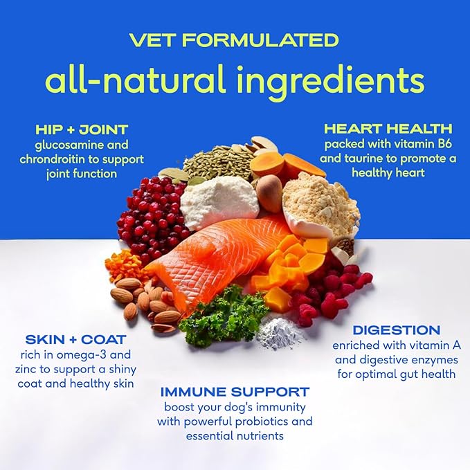 Native Pet The Daily Dog Vitamins & Supplements - 11-in-1 Multivitamin Powder for Dogs - Supports Whole Body Health, Digestion, Mobility & Immunity with Collagen, Glucosamine & Probiotics – 60 Scoops