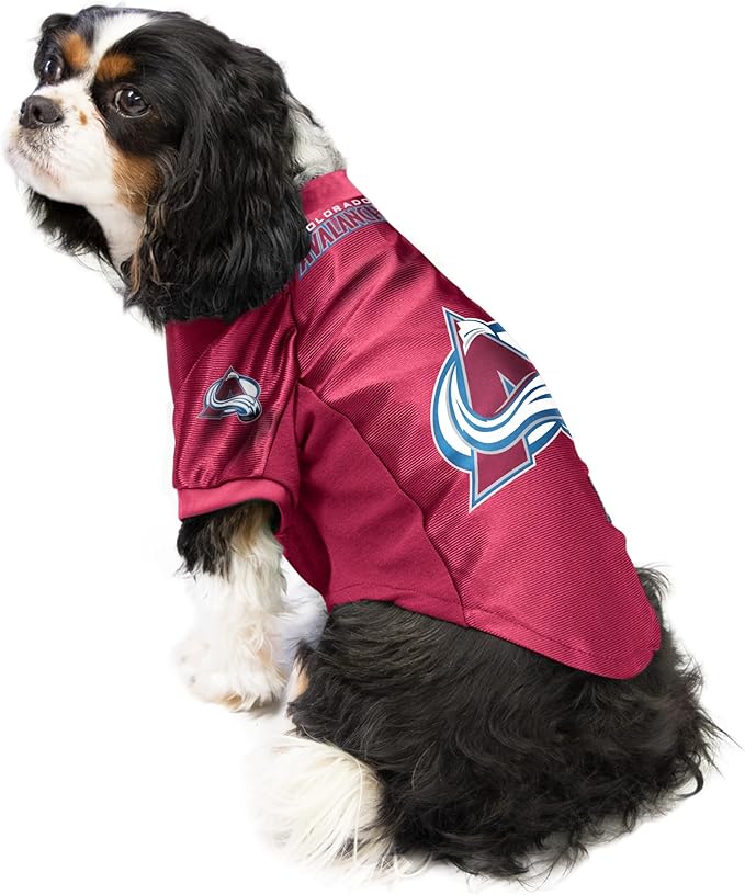 Littlearth NHL Montreal Canadiens Stretch Pet Jersey