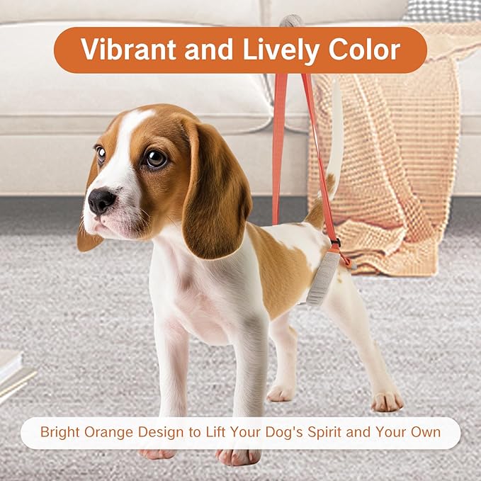 Sling for Dogs Back Legs Rear Support Harness for Paralyzed or Handicapped Pets Assistance Lift Slings for Hind Leg Mobility Small Dog Handicap Supplies for Joint Injuries and Stability (Orange)