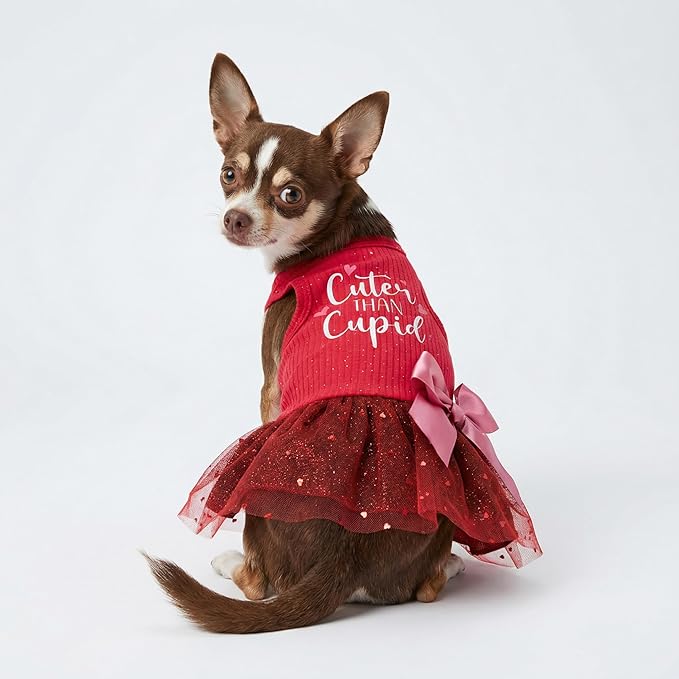 Fitwarm Cuter Than Cupid Dog Tulle Dress, Cute Girl Dog Clothes, Funny Pet Apparel, Burgundy Red, XS