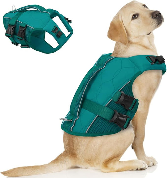 ASENKU Dog Life Jacket, High Floatation Dog Swimming Vest with Rescue Handles for Small Medium Large Dogs, Pet Safety Swimsuit Preserver for Pool Beach Boating (LakeGreen, XL)