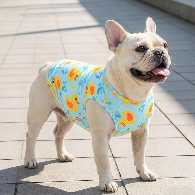KYEESE 2Pack Dog Cooling Shirt, Breathable Dog Shirt for Medium Large Dogs, Sun Protection Dogs Cooling Vest Tank Top, Lightweight Soft Sleeveless Summer Pet Clothes, Duck+Blue, 2XL
