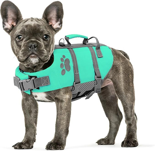Queenmore Small Dog Life Jacket, Lightweight Puppy Life Vests for Small Breed Dogs & Cats, Pet Lifevests for Swimming, Boating & Canoeing with Rescue Handle, Leash Hook & Reflective Stripes
