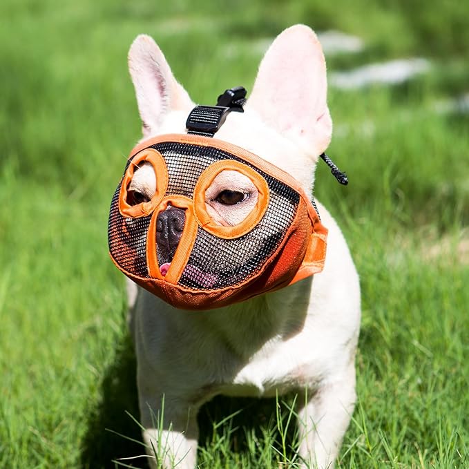 Short Snout Dog Muzzles- Adjustable Breathable Mesh Bulldog Muzzle for Biting Chewing Licking Grooming Dog Mask,Orange(Eyehole) L