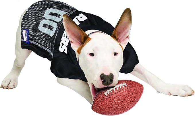NFL OAKLAND RAIDERS DOG Jersey, Small