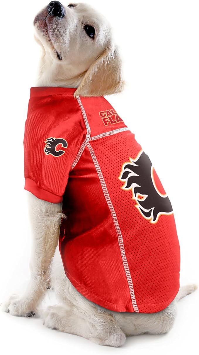 Littlearth NHL Detroit Red Wings Basic Pet Jersey, Team Color