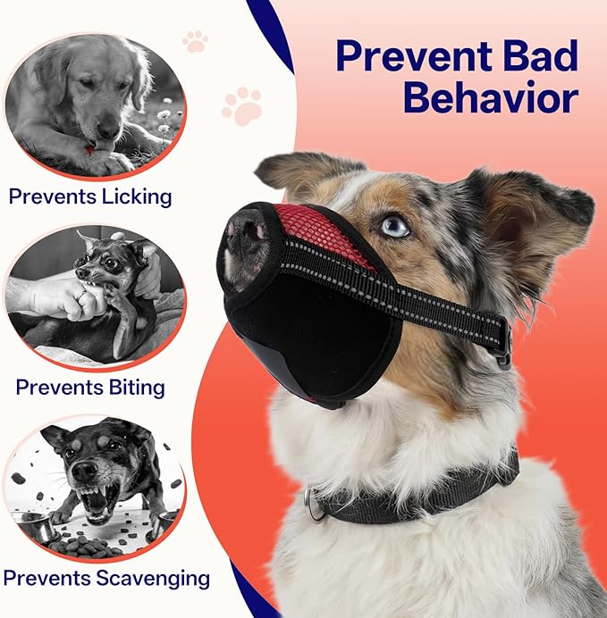 2 Pack Dog Muzzle for Anti Biting and Barking – Secure and Easy-Clean Breathable Mesh Mouth Guard for Grooming, Vet Visits, and Daliy Walks, Fits for Medium Sized Dogs, Red, M