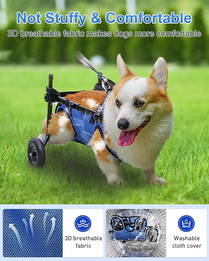 Dog Wheelchair for Back Legs, Cart Doggy Wheelchair with Disabled Hind Legs, Brace and Hip Support, Walking Mobility Aids for Small Pets Hind Limbs Dog Carts with Wheels, Adjustable