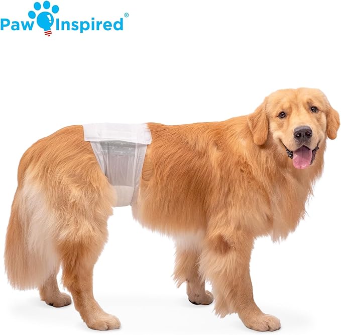 Paw Inspired Disposable Male Dog Wraps, Belly Band for Dogs | Disposable Dog Diapers | Belly Bands for Male Dogs (12 Count, Large)
