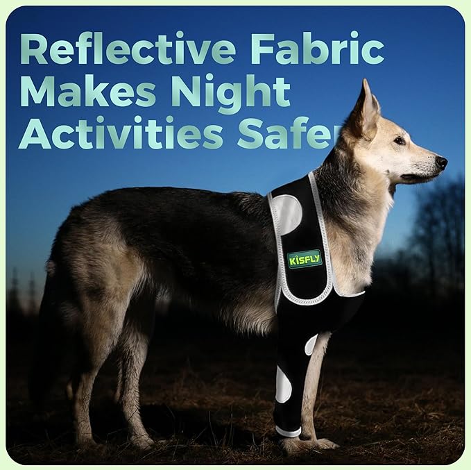 Dog Elbow Protector for Front Leg, Helps Protect Against Hygroma, Calluses, Arthritis, Dysplasia & Pressure Sores, Anti-Licking Support with Reflective Design, Right Leg, Size M