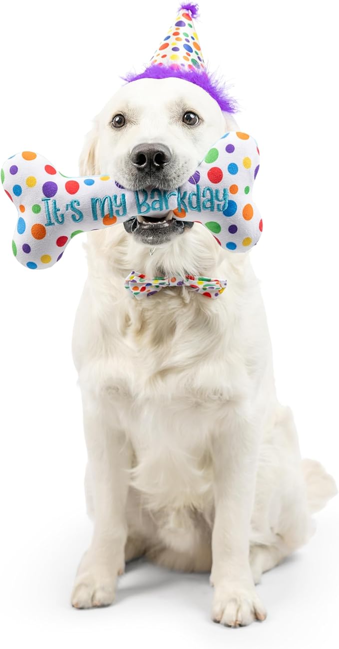 Huxley & Kent Pet Party Hat | Happy Barkday (Small) | Birthday Hat for Dogs and Cats | Adjustable Strap for Comfort and Stability | Perfect for Birthday Party, Adoption Celebration or Gotcha Day