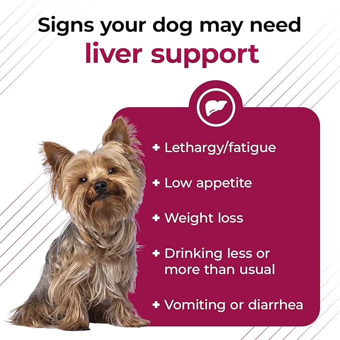 VetriScience Same Liver Health Tablets, 90 mg S-Adenosyl-Methionine Health and Detox Supplement for Cats and Small Dogs Under 13 Pounds, Glutathione Antioxidant Support, 30 Count