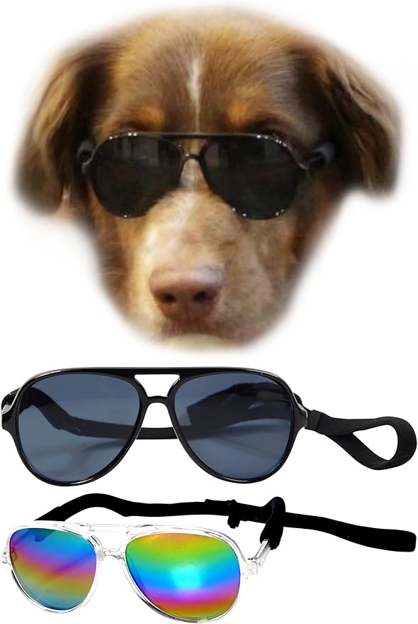 G010 Dog Pet Costume Prop Aviator Sunglasses Medium Breeds 20-40 lbs (2-Pack Black+Crystal Clear-Rainbow mr)