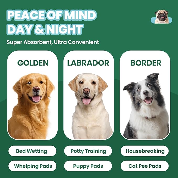 IMMCUTE Great Value Puppy Pads 30"x36", 50 Pack Pee Pads for Dogs XXL, Thicken Dog Pee Pads Extra Large for Potty Training, Disposable Leak-Proof & Absorbent Doggie Pads