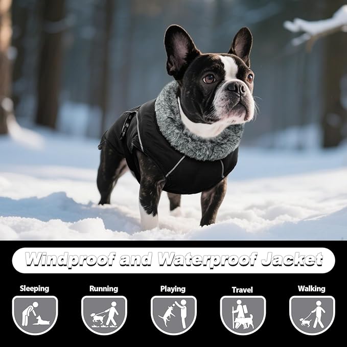 DENTRUN Winter Warm Dog Coat Reflective Jacket with Turtleneck for Cold Weather, Adjustable Buckle Windproof Water Repellent, Thick Snowsuit Fleece Vest for Small, Medium, Large Dogs, Black, XL