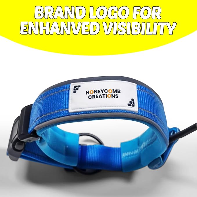 Essential Pet Supplies: Pet Collar for Small Dogs with Reflective AirTag Holder and Secure,Comfortable Padding Bundled with Safe Dog Nail Clippers and Self-Cleaning Dog Brush