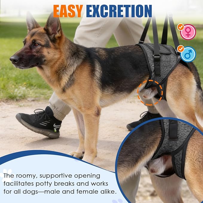 SlowTon Dog Lift Harness - Adjustable Dog Sling for Medium Large Dogs, Hind Leg Support to Help Rehabilitate, Soft Padded Dog Support Harness for Elderly, Injured, Arthritic, Disabled Dogs, M
