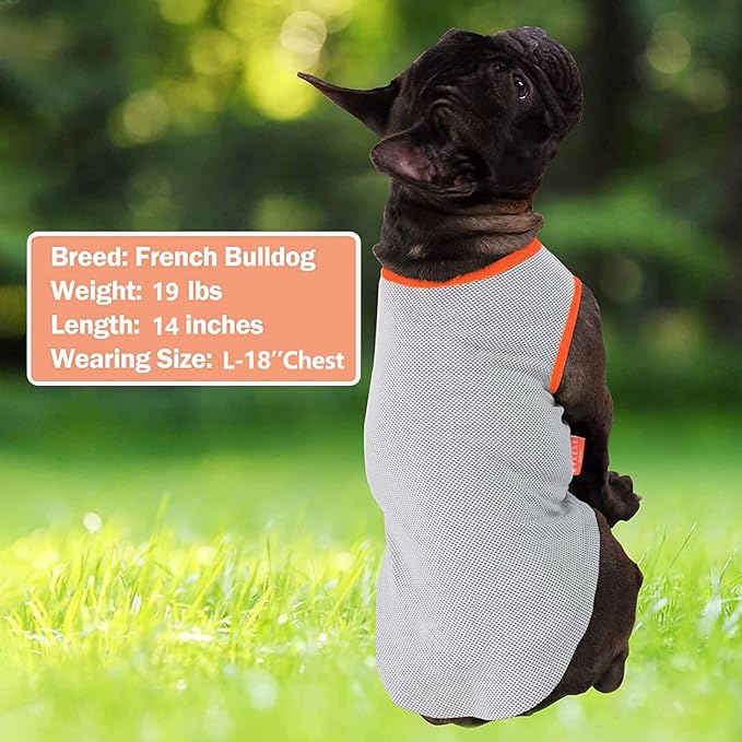 KYEESE 2Pack Dog Cooling Shirt, Breathable Dog Shirt for Medium Large Dogs, Sun Protection Dogs Cooling Vest Tank Top, Lightweight Soft Sleeveless Summer Pet Clothes, Pink+Grey, 2XL