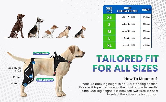 Comfortable Dog Knee Brace for Both Hind Legs with Harness - for ACL Tear, Luxating Patellae, Osteoarthritis & Instability - for Recovery & Injury Prevention in Active/Aging Dogs - (Large)