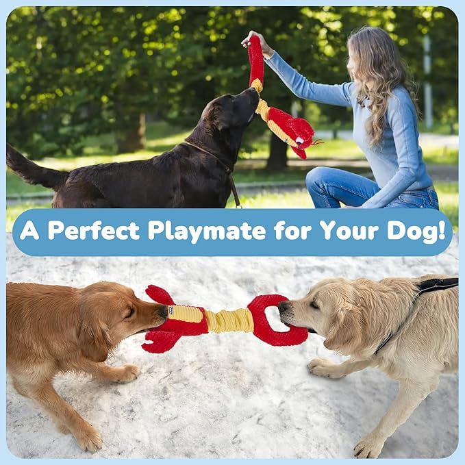 Squeaky Dog Puppy Toys, Stuffed Plush Animal to Keep Them Busy for Small Medium Large Dogs & Aggressive Chewers, Soft Indestructible Pet Chew Toys with Crinkle Paper, Best Tug of War Stuff for Puppies