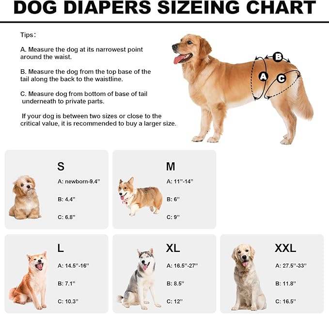 Reusable Dog Diapers Female Washable, Premium Doggie Diaper for Dogs, Pack of 3, Highly Absorbent Small Dog Diaper for Heat, Incontinence and Puppy Training(S)