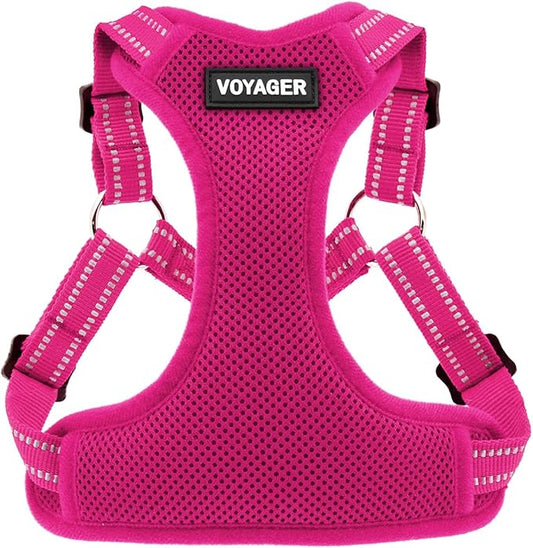 Best Pet Supplies Voyager Adjustable Step-in Flex Breathable Mesh Dog Harness for Small Medium Large Dogs (Fuchsia), L