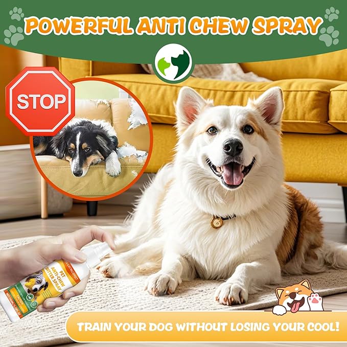 No Chewing Spray for Dogs, Anti-Chew Bitter for Dog Behavior Training Aid Spray, Natural Ingredients, Protect Furniture Shoes Belongings, Stop Chewing - New Formula 4