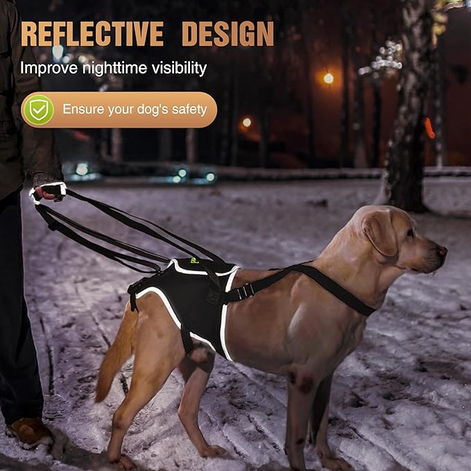 Dog Sling for Medium Dogs, Back Leg Support Harness for Mobility Assistance, Helps Support Dogs with Joint Issues, Walking Aid with Reflective Material, Size M