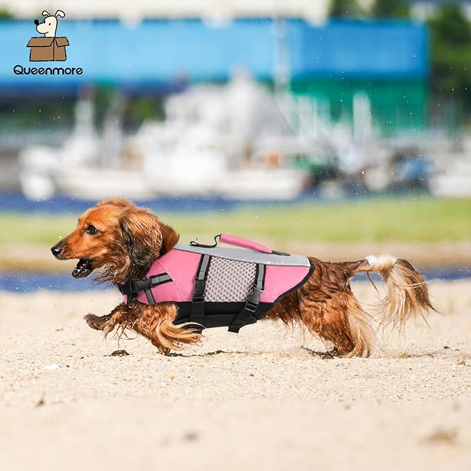 Queenmore Small Dog Life Jacket Swimming Vest Medium Dogs Boating Life Preserver Neoprene Lightweight Reflective Cat Puppy Kayaking Lifesaver for French Bulldog,Dachshund,Shih Tzu,Pug(Pink,M)