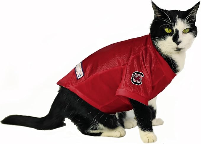 Littlearth NCAA Stretch Pet Jersey